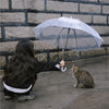 Why Every Pet Deserves a Guardian Blessing | Annie Pet Blessing
