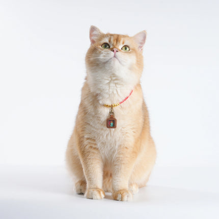 Pet Blessing Tsa-Tsa Charm | Green Tara, Healing & Wellness Blessings