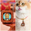 Pet Blessing Tsa-Tsa Charm | Guangji Dragon King, Fortune & Protection Blessings
