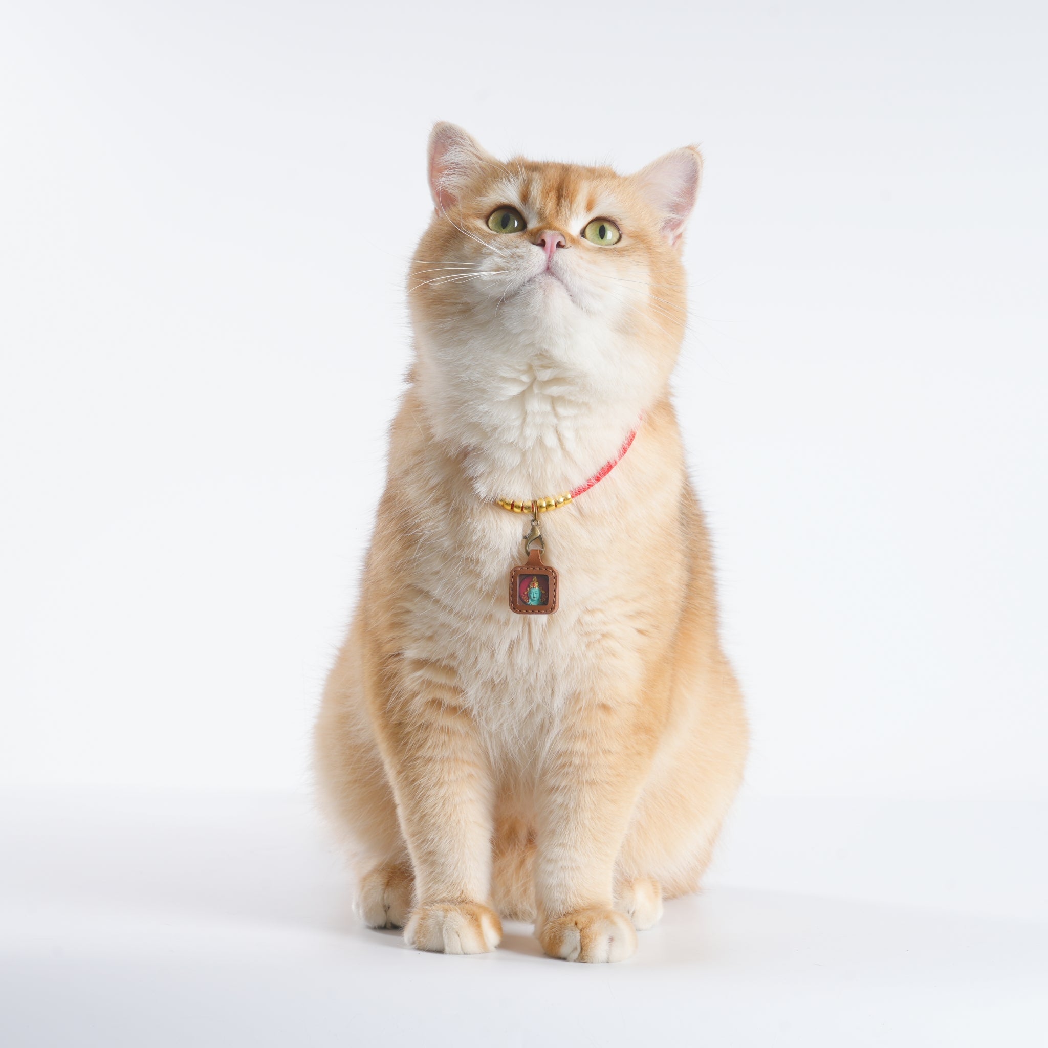 Pet Blessing Tsa-Tsa Charm | Green Tara, Healing & Wellness Blessings