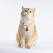 Pet Blessing Tsa-Tsa Charm | Green Tara, Healing & Wellness Blessings