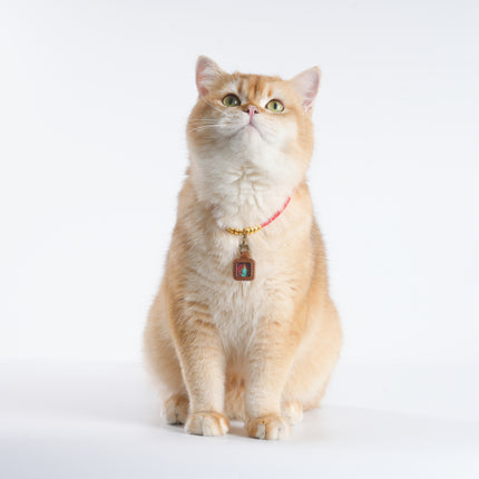 Pet Blessing Tsa-Tsa Charm | Green Tara, Healing & Wellness Blessings