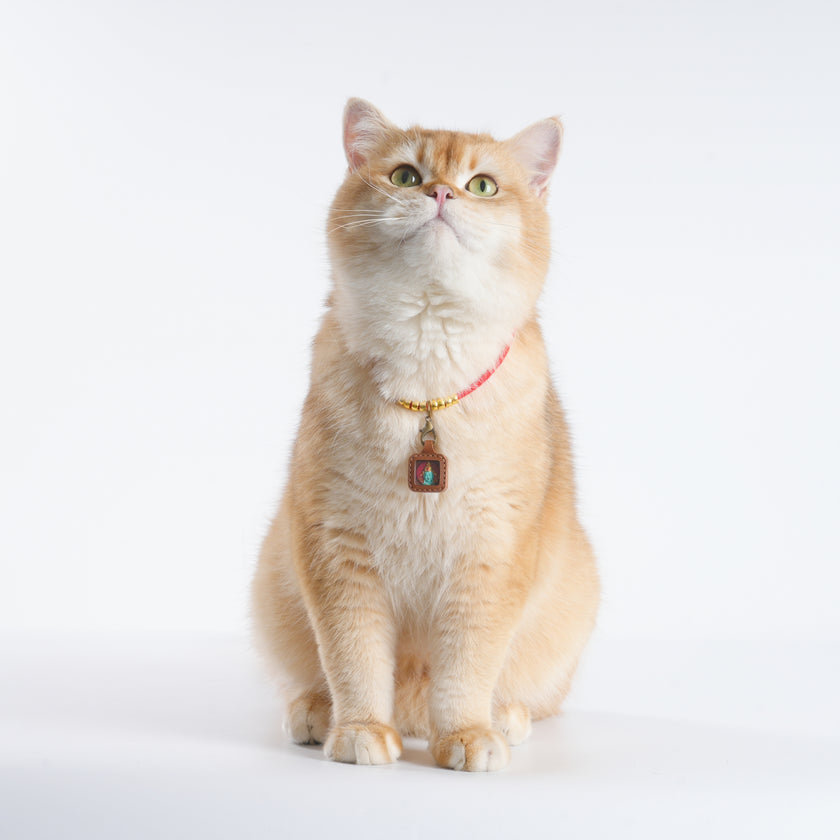 Pet Blessing Tsa-Tsa Charm | Green Tara, Healing & Wellness Blessings