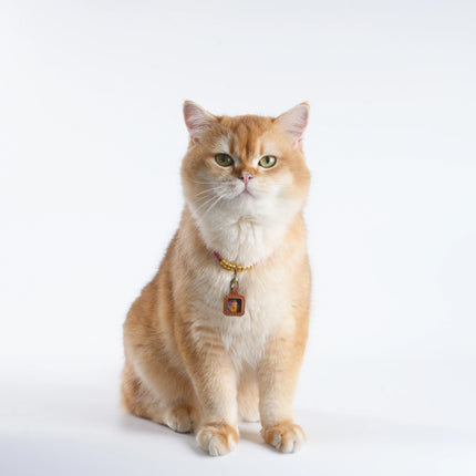 Pet Blessing Tsa-Tsa Charm | Yellow Jambhala, Abundance & Vitality Blessings
