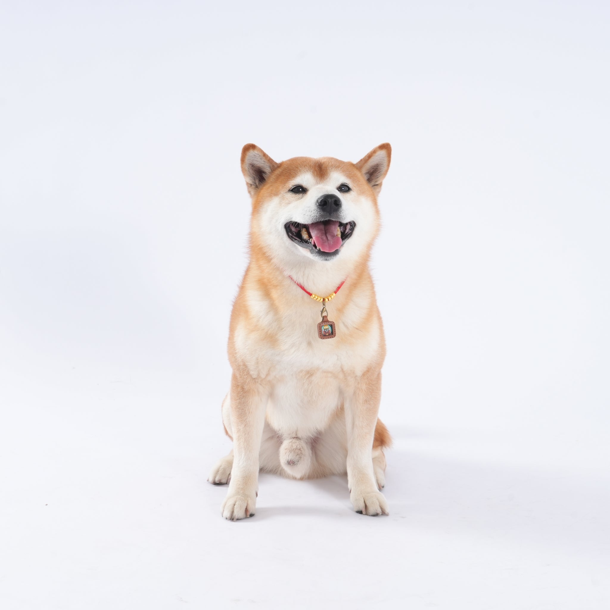 Pet Blessing Tsa-Tsa Charm | Zhaxi Lhamo, Harmony & Calm Blessings