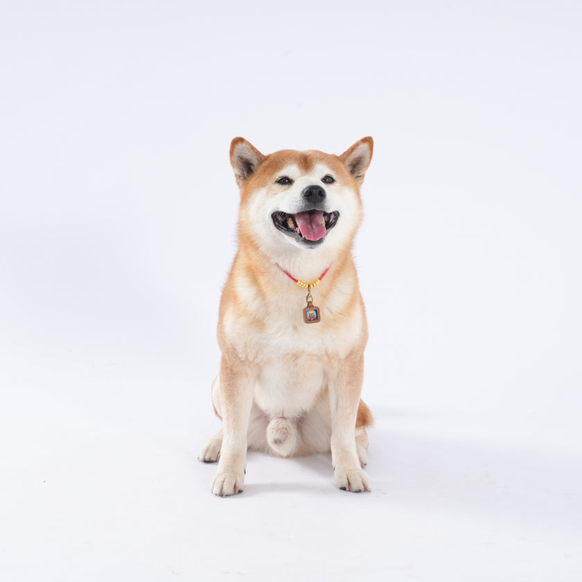 Pet Blessing Tsa-Tsa Charm | Zhaxi Lhamo, Harmony & Calm Blessings
