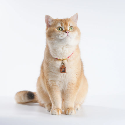 Pet Blessing Tsa-Tsa Charm | Mahakala, Protection & Safety Blessings