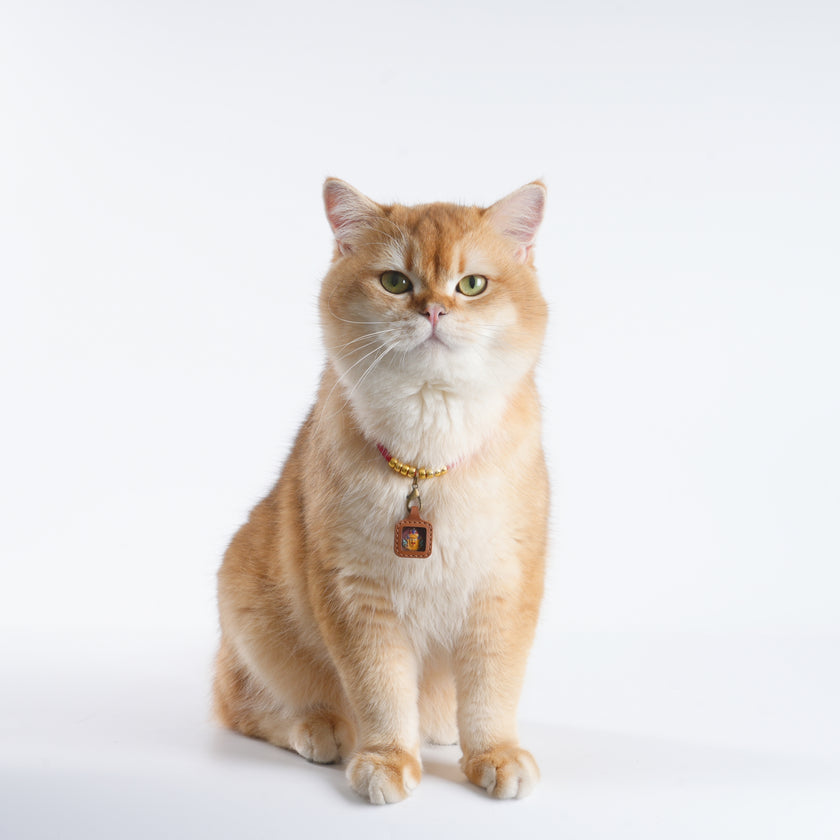 Pet Blessing Tsa-Tsa Charm | Yellow Jambhala, Abundance & Vitality Blessings