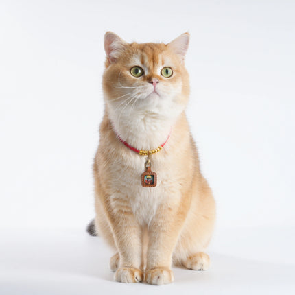 Pet Blessing Tsa-Tsa Charm | Zhaxi Lhamo, Harmony & Calm Blessings