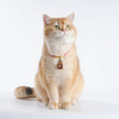Pet Blessing Tsa-Tsa Charm | Mahakala, Protection & Safety Blessings