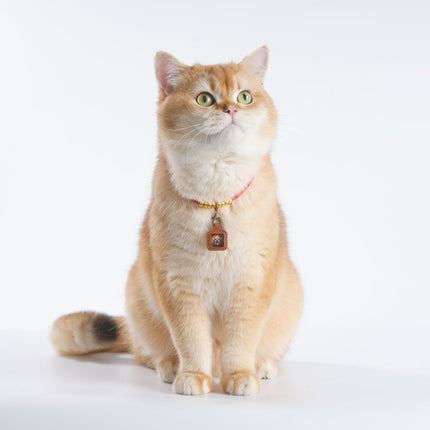 Pet Blessing Tsa-Tsa Charm | Mahakala, Protection & Safety Blessings