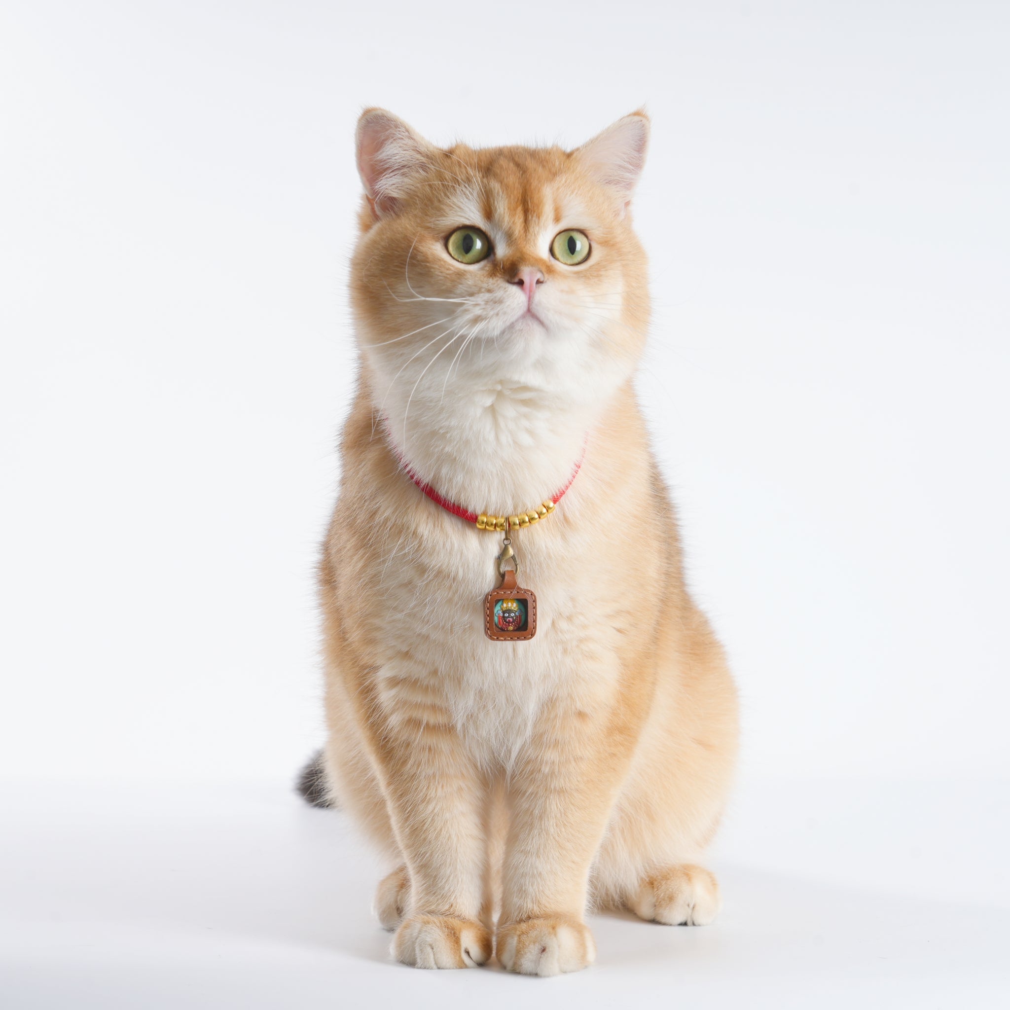Pet Blessing Tsa-Tsa Charm | Zhaxi Lhamo, Harmony & Calm Blessings