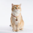 Pet Blessing Tsa-Tsa Charm | Zhaxi Lhamo, Harmony & Calm Blessings